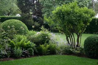 园林绿化爆料视频大全